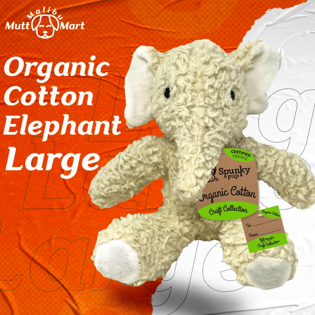 Screenshot 2024-03-28 at 11.56.47 AM